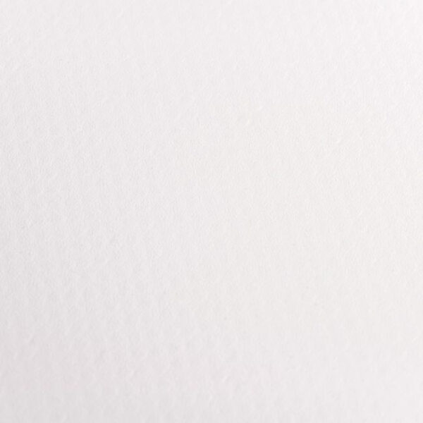 Banner-6102.jpg
