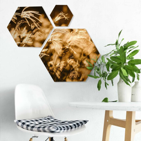 Hexagons2.jpg