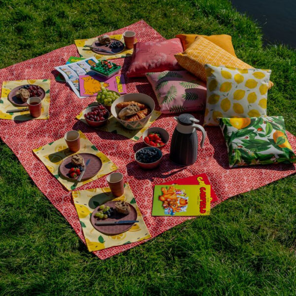 Picknickkleed2.jpg